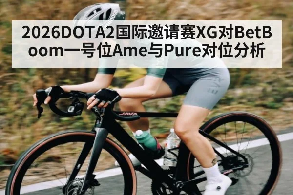 2026DOTA2国际邀请赛XG对BetBoom一号位Ame与Pure对位分析